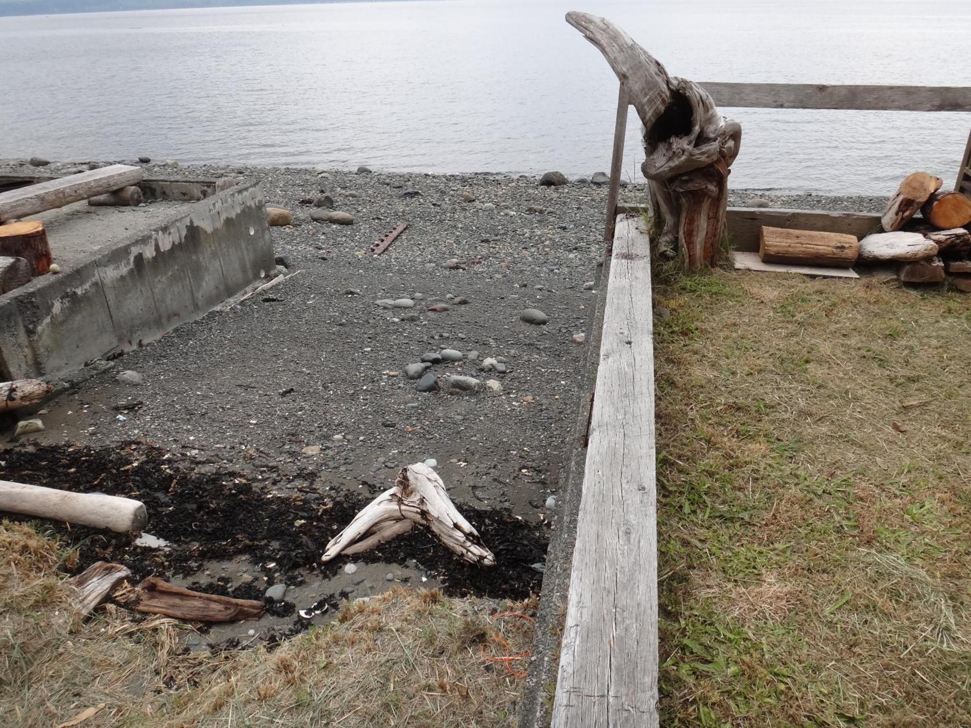 Orca Lodge Sointula Eksteriør billede